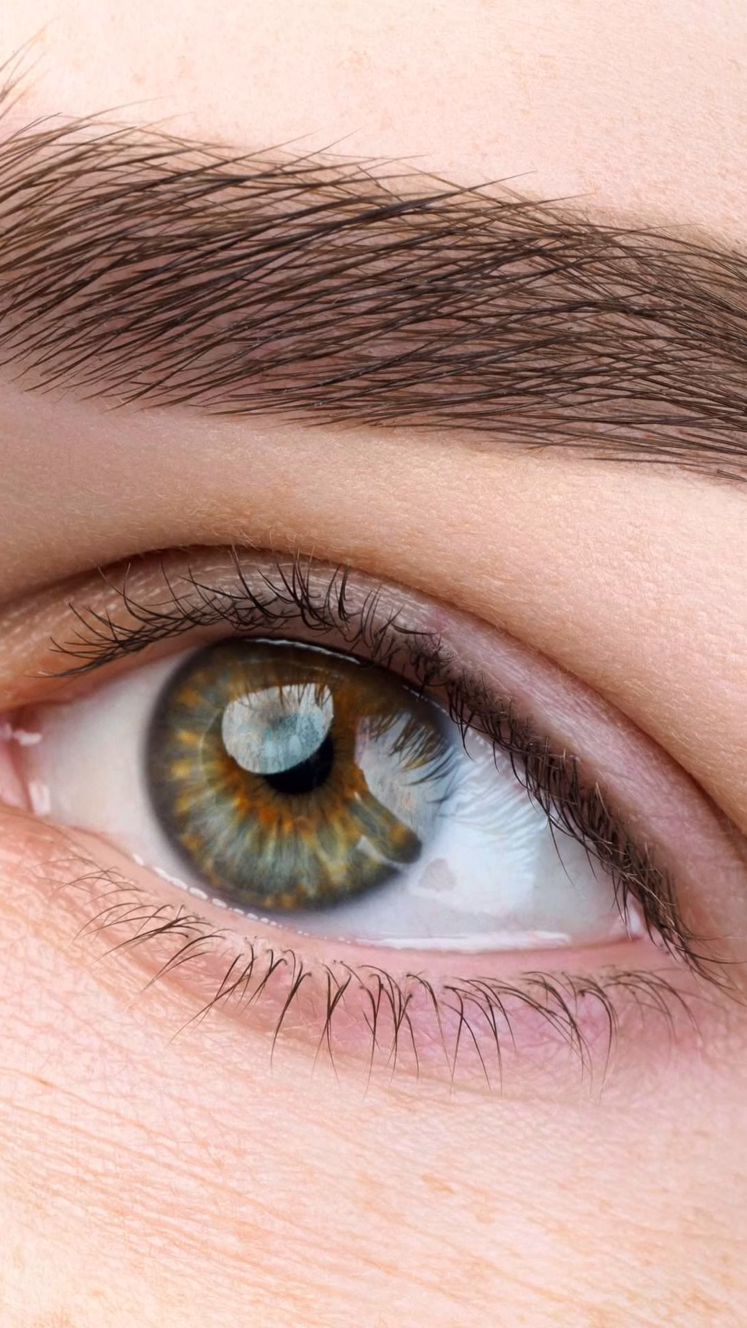Close,Up,View,Of,Beautiful,Green,Female,Eye.,Perfect,Trendy